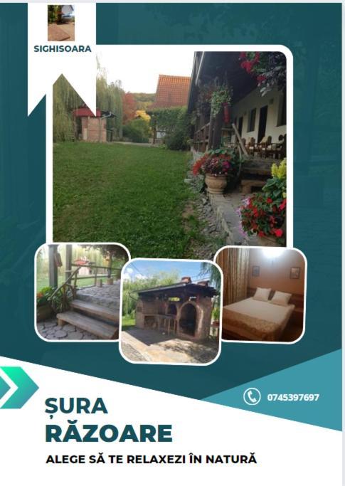 Vila Sura Razoare 시기쇼아라 외부 사진