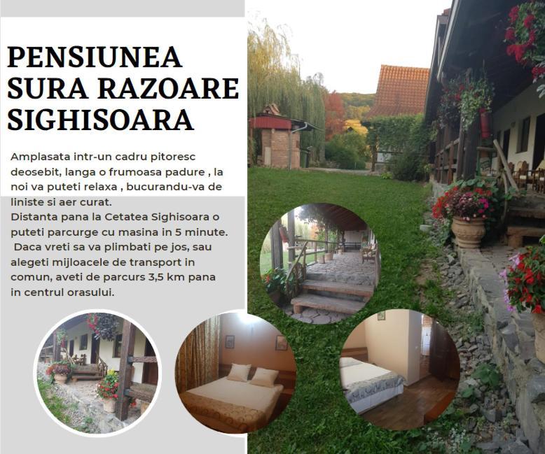 Vila Sura Razoare 시기쇼아라 외부 사진