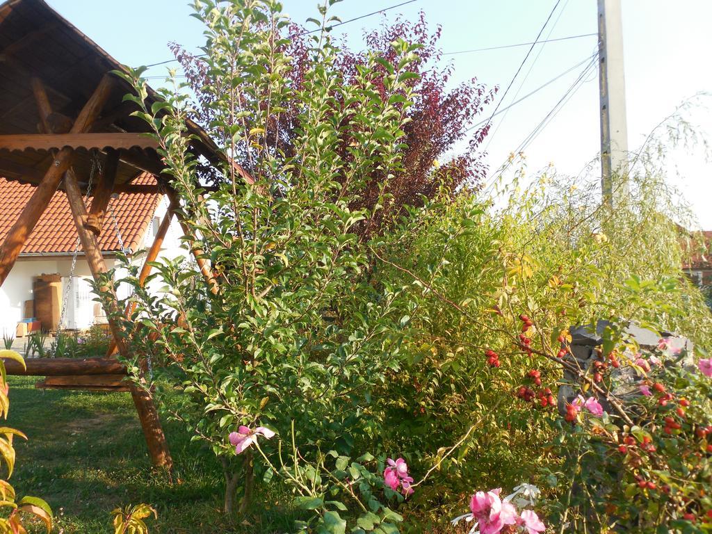 Vila Sura Razoare 시기쇼아라 외부 사진